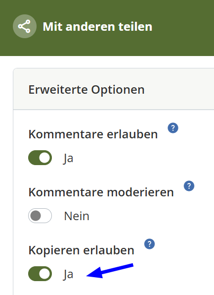 Screenshot zeigt erweiterte Optionen und die Möglichkeit wo „Kopieren erlauben“ angegeben werden kann.