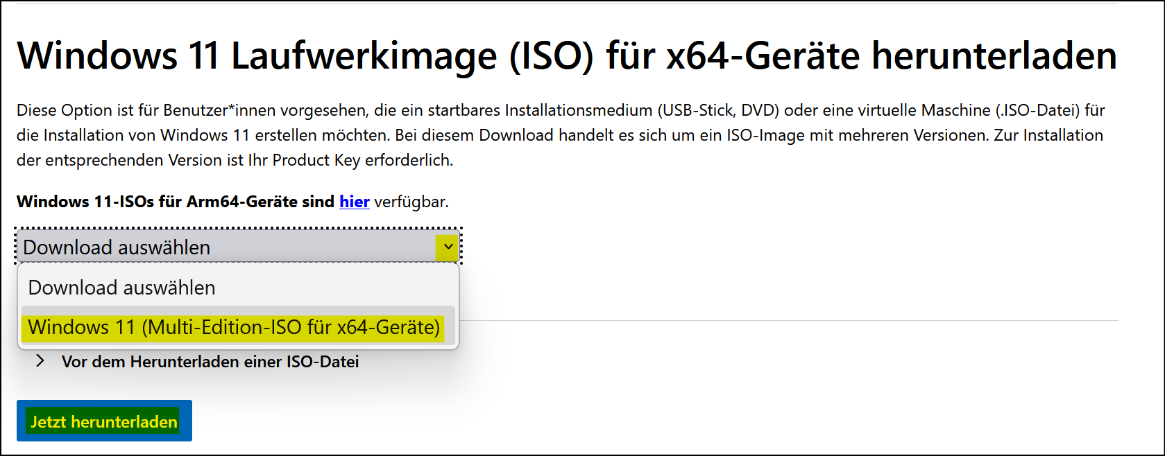 Downloadfenster Windows 11