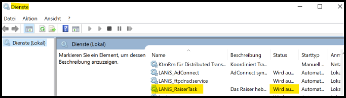 Dienste LANiS_RaiserTask