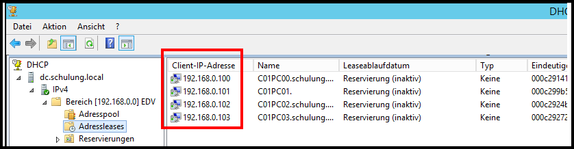 DHCP nach Ausführen der Batch-Datei