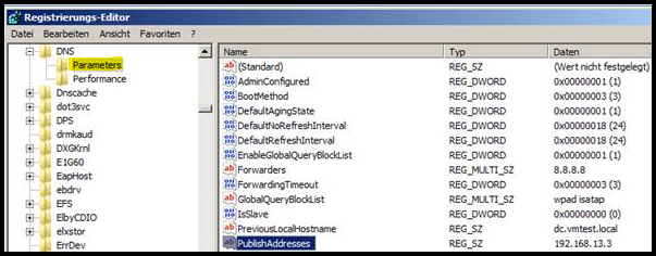 Registrierungs-Editor DNS Parameters