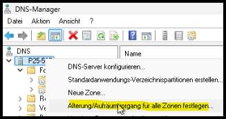 DNS-Manager Alterung/Aufräum...