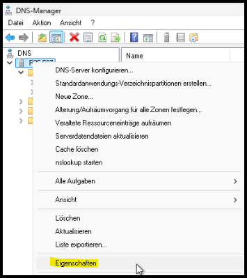 DNS- Manager Eigenschaften des Servers