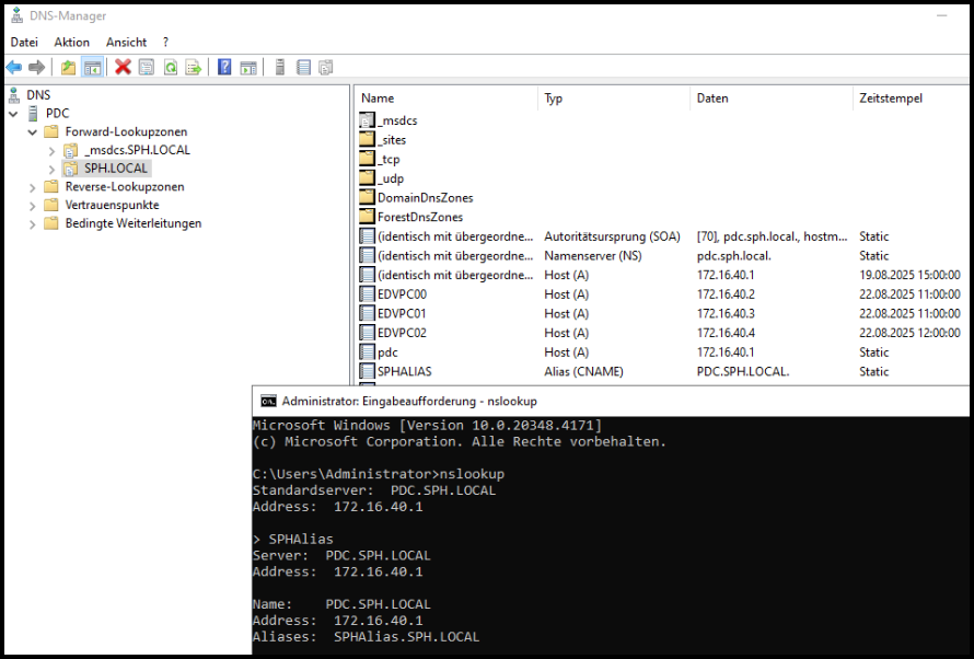 DNS-Manager nslookup