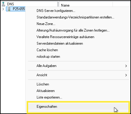 DNS-Manager Eigenschaften des Servers