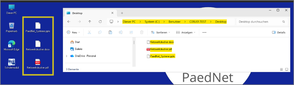 Desktop eines PCs mit überzähligen Icons im Benutzerprofil